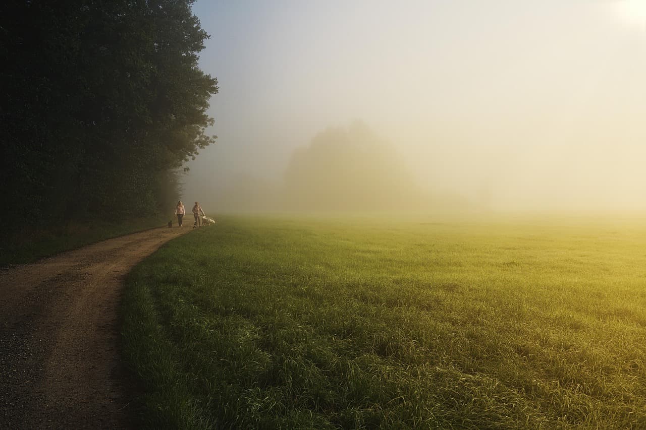 Two people walking a dog on a quiet path beside an open field in soft morning fog