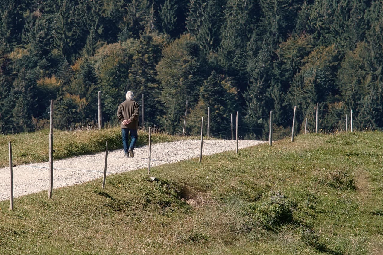 Older person walking on a gravel path through grass with trees in the background