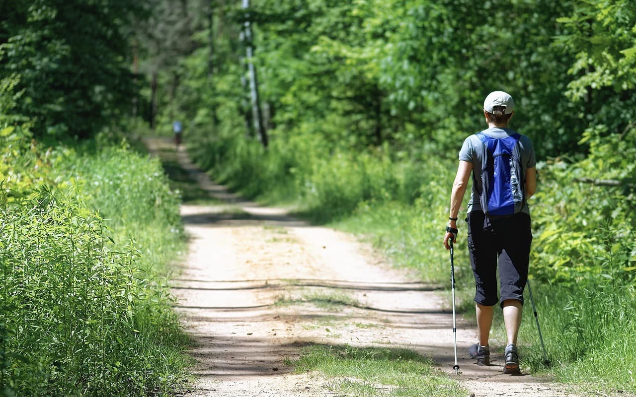 A hiker seen from behind walking a forest trail with a light daypack and a trekking pole in each hand